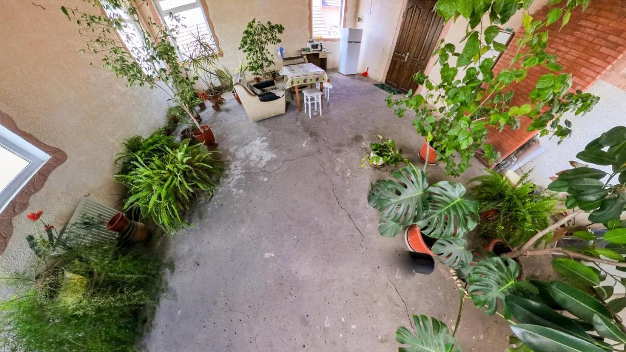 La Vitalie Guest House 基希讷乌 外观 照片