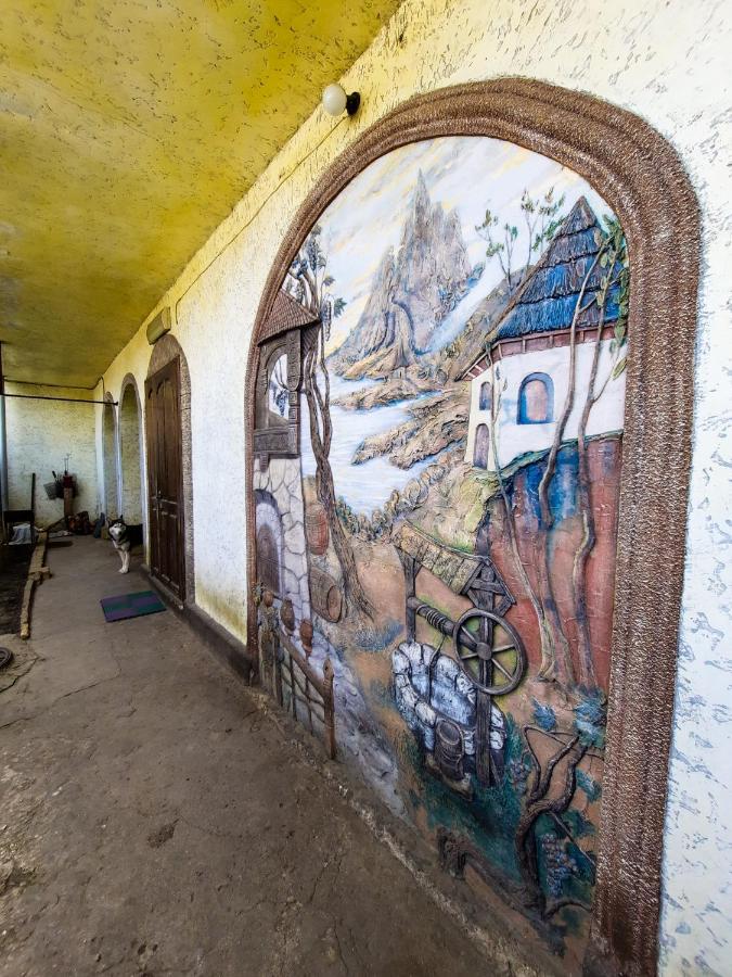 La Vitalie Guest House 基希讷乌 外观 照片